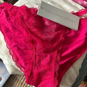 Brand New Stella McCartney Ella Shining Bikini Bottom